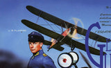 George Guynemer Stamp Spad SXII U 12 Flamingo Ernst Udet Airplane S/S MNH #5256