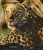 Panther Stamp Neofelis Nebulosa Satellite Spot-5 Grumman F9F Panther S/S MNH