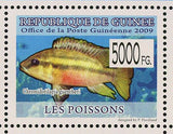 Fish Stamp Benitochromis sp. Eseka Erpetoichthys Calabaricus Ctenochromis MNH