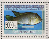 Fish Stamp Benitochromis sp. Eseka Erpetoichthys Calabaricus Ctenochromis MNH