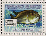 Fish Stamp Benitochromis sp. Eseka Erpetoichthys Calabaricus Ctenochromis MNH