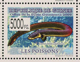 Fish Stamp Benitochromis sp. Eseka Erpetoichthys Calabaricus Ctenochromis MNH