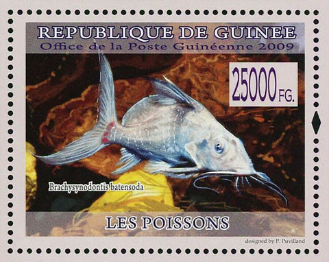 Fish Stamp Brachy Synodontis Batensoda Hemitaeniochromis Urotaenia S/S MNH