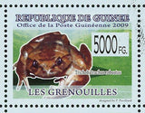 Frogs Stamp Kassina Senegalensis Trichobatrachus Robustus Phrynomantis S/S MNH