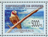 Birds Stamp Amadina Fasciata Lagonosticta Senegala Aquila Ayresii S/S MNH #6418