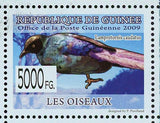 Birds Stamp Amadina Fasciata Lagonosticta Senegala Aquila Ayresii S/S MNH #6418
