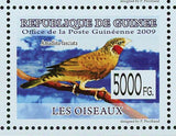 Birds Stamp Amadina Fasciata Lagonosticta Senegala Aquila Ayresii S/S MNH #6418