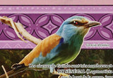 Birds Stamp Lagonosticta Senegala Lamprotornis Caudatus Coracias Abyssinica S/S