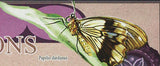 Butterflies Stamp Acheronita Atropos Charaxes Pollux Papilio Dardanus S/S MNH