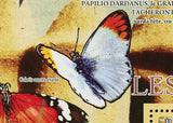 Butterflies Stamp Danaus Chrysippus Colitis Aurora Evarne  Insect S/S MNH #6374