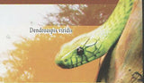 Snakes Stamp Naja Nigricollis Python Regius Dendroaspis Viridis S/S MNH #6409