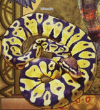 Snakes Stamp Python Regius Crotaphopeltis Hotamboeia Reptiles S/S MNH #6417