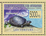 Turtles Stamp Pelusios Castaneus Pelomedusa Subrufa Caretta Caretta S/S MNH