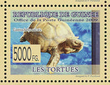 Turtles Stamp Pelusios Castaneus Pelomedusa Subrufa Caretta Caretta S/S MNH
