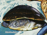 Turtles Stamp Chelonia Mydas Pelomedusa Subrufa S/S MNH #6415 / Bl.1663