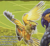 Parrots Stamp Bird Spencer Fullerton Baird Nandayus Nenday S/S MNH #5547