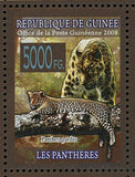 Wild Animal Stamp Panther Lions Tigers Panthera Leo S/S MNH #5589-5594