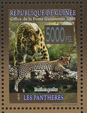 Wild Animal Stamp Panther Lions Tigers Panthera Leo S/S MNH #5589-5594