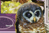 Owls Stamp Bird Strix Woodfordi Scotopelia Peli Tyto Alba S/S MNH #643 /Bl.1667