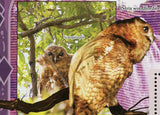 Owls Stamp Bird Strix Woodfordi Scotopelia Peli Tyto Alba S/S MNH #643 /Bl.1667