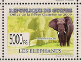 Elephants Stamp Loxodonta Africana Loxodonta Cyclotis Wild Animal S/S MNH #6463
