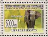 Elephants Stamp Loxodonta Africana Loxodonta Cyclotis Wild Animal S/S MNH #6463