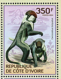Primates Stamp Colobus Polykomos Cercocebus Torquatus S/S MNH #1614-1617