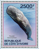 Whales Stamp Pseudorca Crassidens Physeter Macrocephalus Megaptera S/S MNH