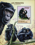 Primates Stamp Pan Troglodytes Wild Animal African Fauna S/S MNH #1618 / Bl.210