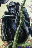 Primates Stamp Pan Troglodytes Wild Animal African Fauna S/S MNH #1618 / Bl.210