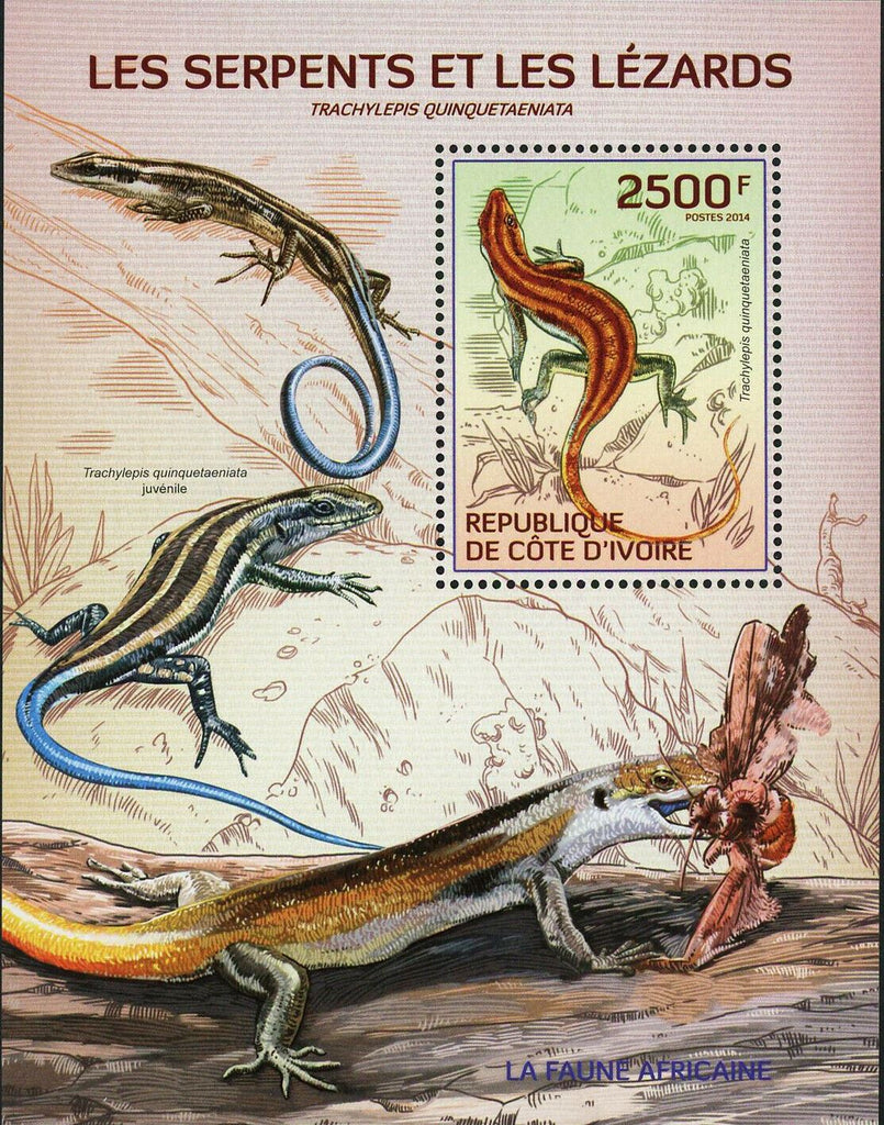Snakes Lizards Stamps Trachylepis Quinquetaeniata Juvenile S/S MNH #1533/Bl.193