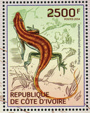 Snakes Lizards Stamps Trachylepis Quinquetaeniata Juvenile S/S MNH #1533/Bl.193