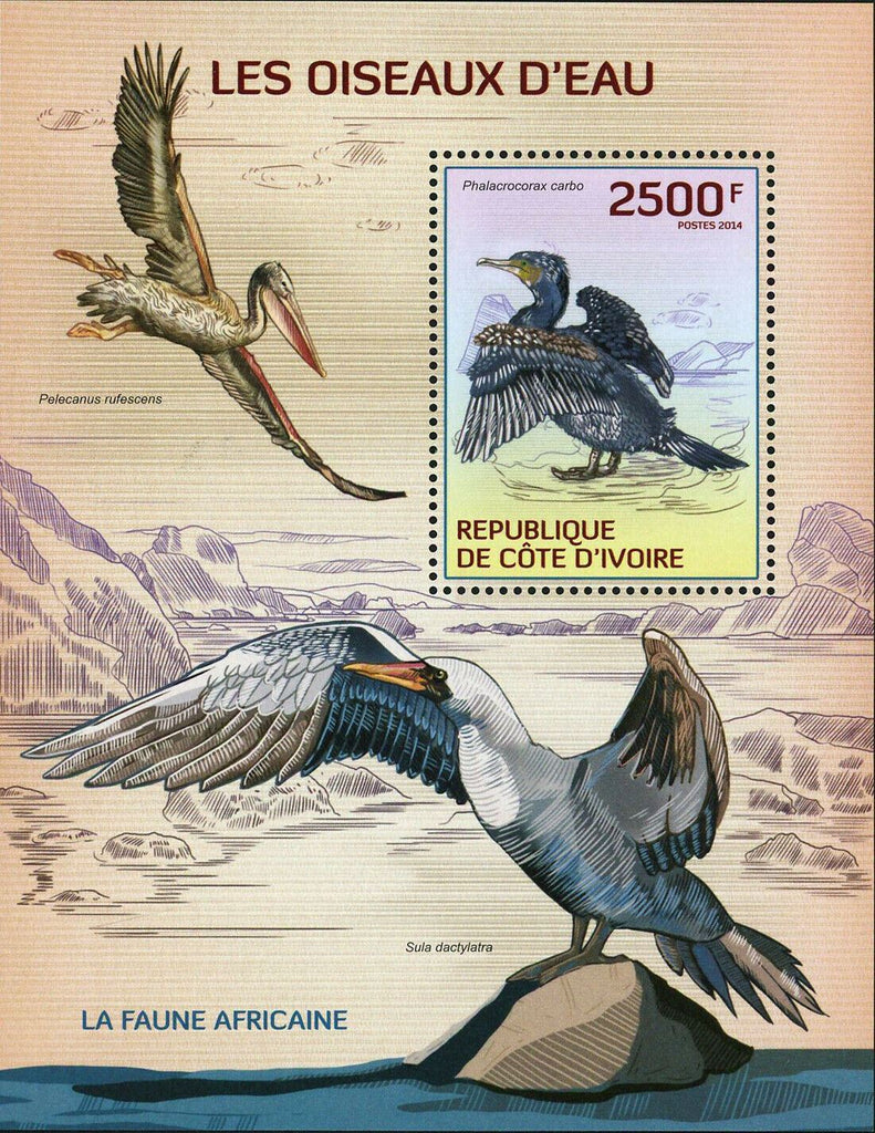 Water Birds Stamp Sula Dactylatra Pelecanus Rufescens Phalacrocorax Carbo MNH