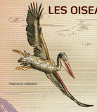 Water Birds Stamp Sula Dactylatra Pelecanus Rufescens Phalacrocorax Carbo MNH