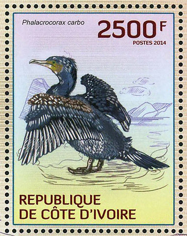 Water Birds Stamp Sula Dactylatra Pelecanus Rufescens Phalacrocorax Carbo MNH