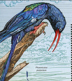 Birds Stamp Phoeniculus Purpureus Phoeniculus Bollei S/S MNH #1568 / Bl.200