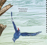 Birds Stamp Phoeniculus Purpureus Phoeniculus Bollei S/S MNH #1568 / Bl.200