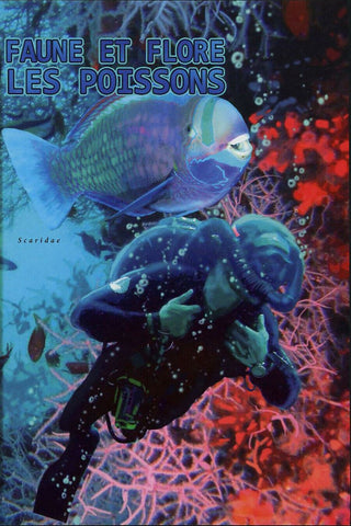 Fish Stamp Symphysodon Hemichromis Lifalili Acanthurus Xanthopterin S/S MNH