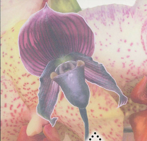 Orchids Stamp Flower Lycaste Skinneri Plant Nature S/S MNH #8543-8545 / Bl.1979