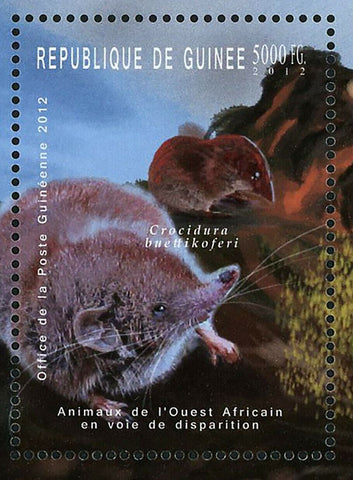 Wild Animals Stamp Cercopithecus Diana Cephalophus Jentinki Crocidura S/S MNH