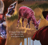 Wild Animals Stamp Addax Nasomaculatus Tragelaphus Eurycerus S/S MNH #9199