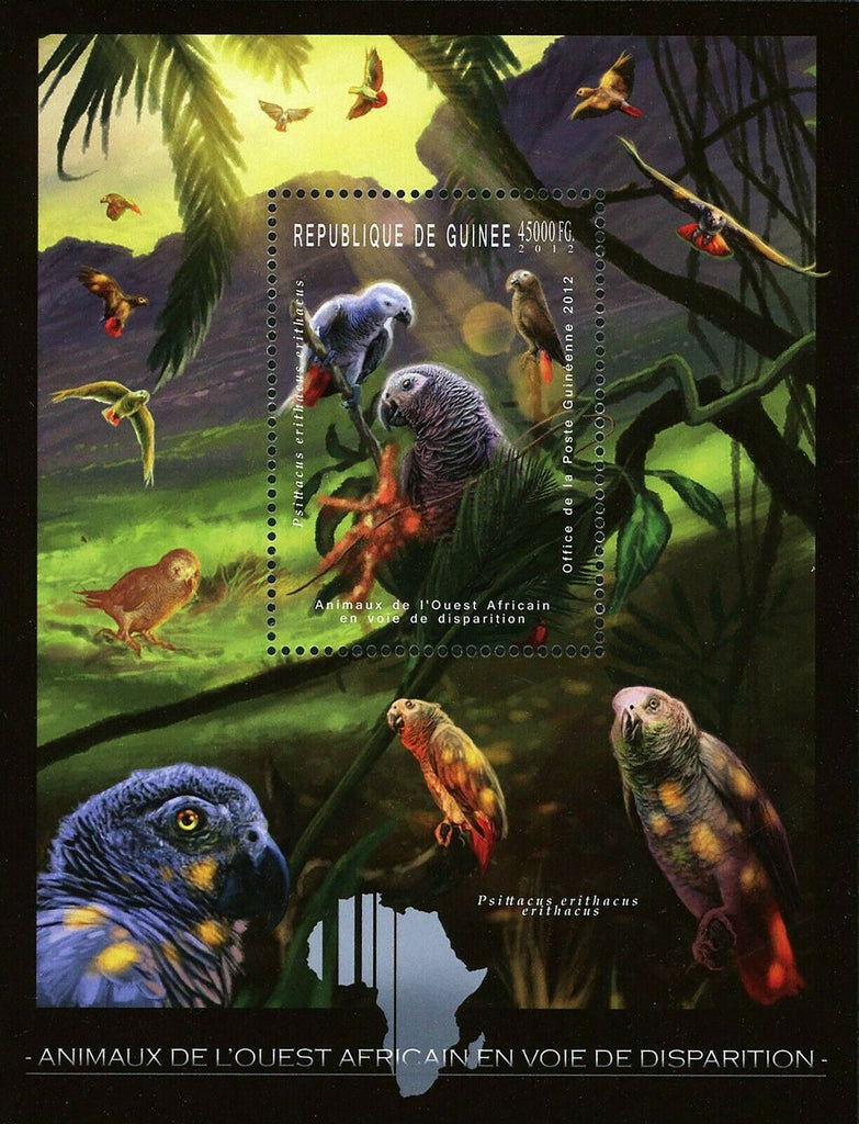 Bird Stamp Parrot Psittacus Erithacus Erithacus African Fauna S/S MNH #9187