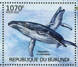 Whales Stamp Physeter Macrocephalus Balaenoptera Acutorostrata S/S MNH #2605-260