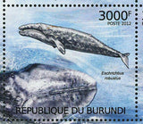 Whales Stamp Physeter Macrocephalus Balaenoptera Acutorostrata S/S MNH #2605-260