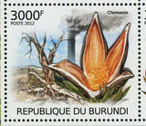 Mushrooms & Acid Rain Stamp Gyromitra Esculenta Hydnellum Peckii S/S MNH #2530