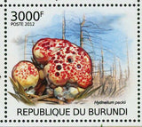 Mushrooms & Acid Rain Stamp Gyromitra Esculenta Hydnellum Peckii S/S MNH #2530