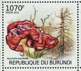 Mushrooms & Acid Rain Stamp Gyromitra Esculenta Hydnellum Peckii S/S MNH #2530