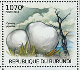 Mushrooms & Acid Rain Stamp Gyromitra Esculenta Hydnellum Peckii S/S MNH #2530