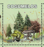 Mushrooms Stamp Amanita Pachycolea Boletus Edulis Leccinum Versipelle S/S MNH