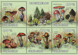 Mushrooms Stamp Amanita Pachycolea Boletus Edulis Leccinum Versipelle S/S MNH
